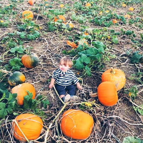 PumpkinPatchVinesBaby