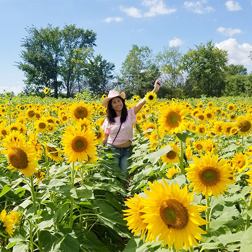 SunflowerFieldWomanCowboyHat